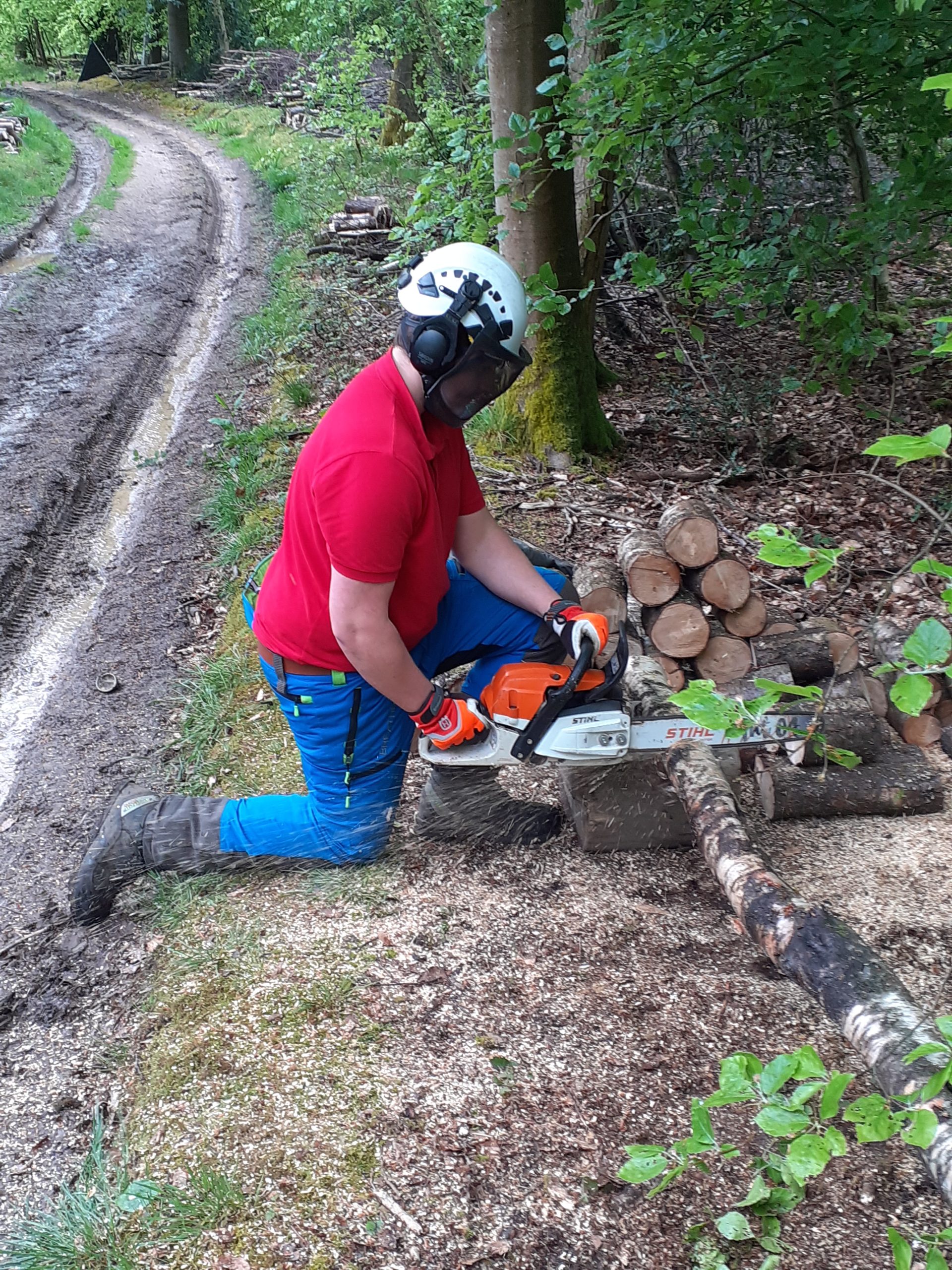 Level 2 Chainsaw Training Course -Arbotrim Training